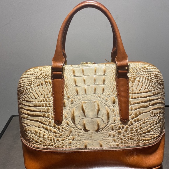 Brahmin - Picture 10 of 10